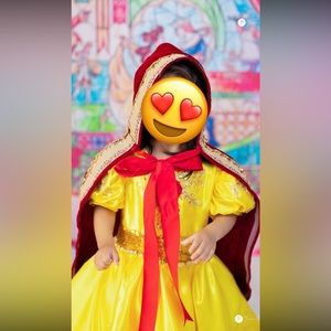 Beauty and the Beast costume.